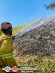 incendio-destroi-cerca-de-8-mil-m²-de-area-de-mata-em-ilhabela,-sp