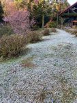 apos-noite-fria,-geada-deixa-paisagem-‘branquinha’-em-campos-do-jordao,-sp