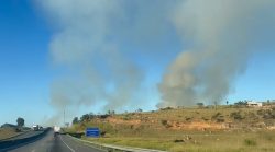 queimada-em-area-de-10-mil-metros-as-margens-da-dutra-mobiliza-corpo-de-bombeiros-em-taubate