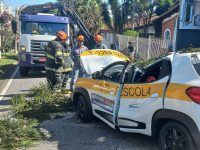 aluna-fica-ferida-apos-arvore-de-29-metros-cair-em-cima-de-carro-de-autoescola-em-sao-jose