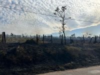 incendio-atinge-area-de-60-mil-m²-em-taubate,-sp