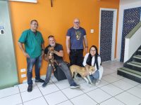 dois-cachorros-sao-resgatados-desnutridos-e-em-situacao-de-maus-tratos-em-sao-jose-dos-campos,-sp