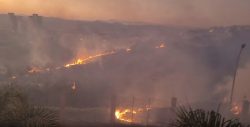 bombeiros-combatem-incendio-em-area-do-urbanova-em-sao-jose-dos-campos