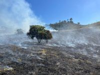 queimada-destroi-11-hectares-de-vegetacao-em-taubate,-sp