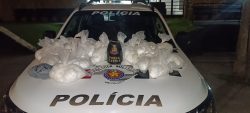 homem-de-43-anos-e-preso-com-mais-de-12-mil-porcoes-de-droga-em-caraguatatuba,-sp