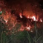 incendios-atingem-cerca-de-1,3-mil-m²-de-vegetacao-em-taubate,-sp