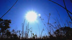 com-onda-de-calor,-taubate-registra-34oc-em-pleno-inverno-e-atinge-pela-segunda-vez-a-maior-temperatura-do-ano