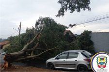 fortes-chuvas-apos-onda-de-calor-causam-quedas-de-arvores-e-transtornos-na-regiao-bragantina