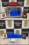 policia-civil-apreende-sete-tijolos-de-maconha-dentro-de-imovel-em-sao-jose-dos-campos,-sp