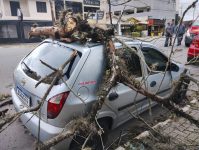 queda-de-galhos-em-carro-assusta-motorista-em-guaratingueta,-sp