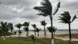 defesa-civil-emite-alerta-para-ventos-de-ate-74-km/h-no-litoral-norte-de-sp