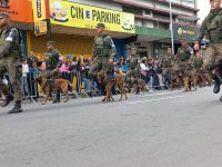 veja-galeria-de-fotos-do-desfile-da-independencia-em-sao-jose-dos-campos,-sp