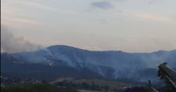 incendio-na-pedra-grande:-area-equivalente-a-420-campos-de-futebol-e-queimada