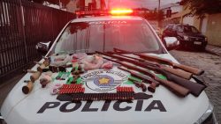 homem-e-preso-com-quase-10-armas-por-caca-de-aves-silvestres-em-cachoeira-paulista,-sp