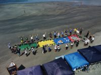 mutirao-recolhe-300-quilos-de-lixo-e-mais-de-2,5-mil-bitucas-de-cigarro-em-praias-do-litoral-norte-de-sp