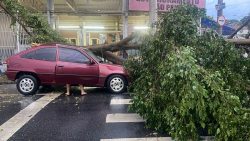 chuva-provoca-quedas-de-arvores-e-falta-de-energia-em-taubate-e-sao-jose-dos-campos,-sp