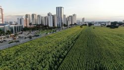 conceito-inovador,-contrapartidas-e-planta-aprovada:-o-que-se-sabe-sobre-o-novo-bairro-no-terreno-das-vaquinhas-em-sao-jose