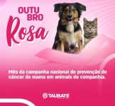 taubate-realiza-campanha-de-prevencao-de-cancer-de-mama-em-animais-de-companhia