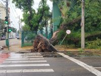 chuva-causa-fortes-estragos-em-sao-jose-dos-campos;-defesa-civil-atende-cerca-de-40-ocorrencias