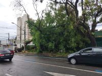 temporal-causa-estragos-e-corte-de-energia-em-ao-menos-12-cidades-do-vale-e-regiao;-confira-balanco