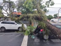 mais-de-24h-apos-temporal,-cidades-da-regiao-ainda-tem-bairros-sem-energia;-entenda