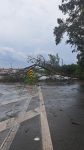 temporal-com-granizo-e-ventos-fortes-atinge-atibaia;-braganca-paulista-registra-queda-de-arvore