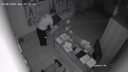 ladrao-invade-pet-shop-duas-vezes-na-mesma-madrugada-e-furta-eletronicos-em-sao-jose;-video