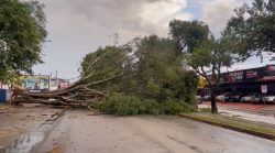 temporal-com-granizo-provoca-queda-de-arvore-e-falta-de-energia-em-sao-jose-dos-campos,-sp