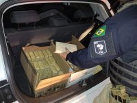 motorista-e-preso-com-50-kg-de-cocaina-escondidos-em-carro-na-dutra-em-taubate,-sp