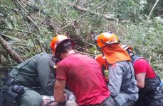 homem-e-resgatado-em-area-de-mata-apos-tronco-de-arvore-cair-sobre-sua-perna-em-sao-jose,-sp