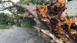 temporal-causa-alagamentos,-quedas-de-arvores-e-destelha-casas-em-sao-jose-dos-campos,-sp