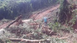 queda-de-barreira-e-arvore-interdita-a-rodovia-sp-50,-que-liga-sao-jose-a-campos-do-jordao