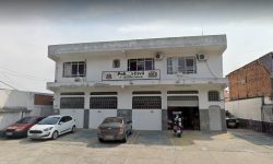 policia-civil-investiga-morte-de-capivara-atacada-a-pauladas-por-moradores-em-sao-jose-dos-campos,-sp