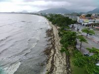 praia-de-ubatuba-(sp)-fica-coberta-por-galhos-de-arvore-e-sujeira-apos-temporal